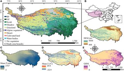 Greening or browning? The macro variation and drivers of different vegetation types on the Qinghai-Tibetan Plateau from 2000 to 2021